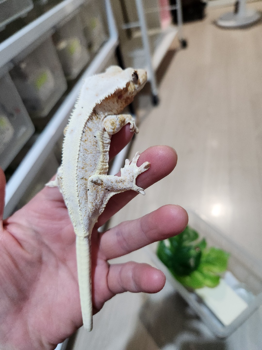 Post image 10