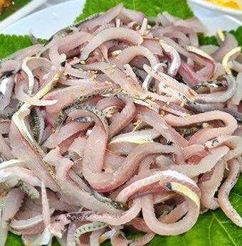 며느리가 집나감 전어&산오징어