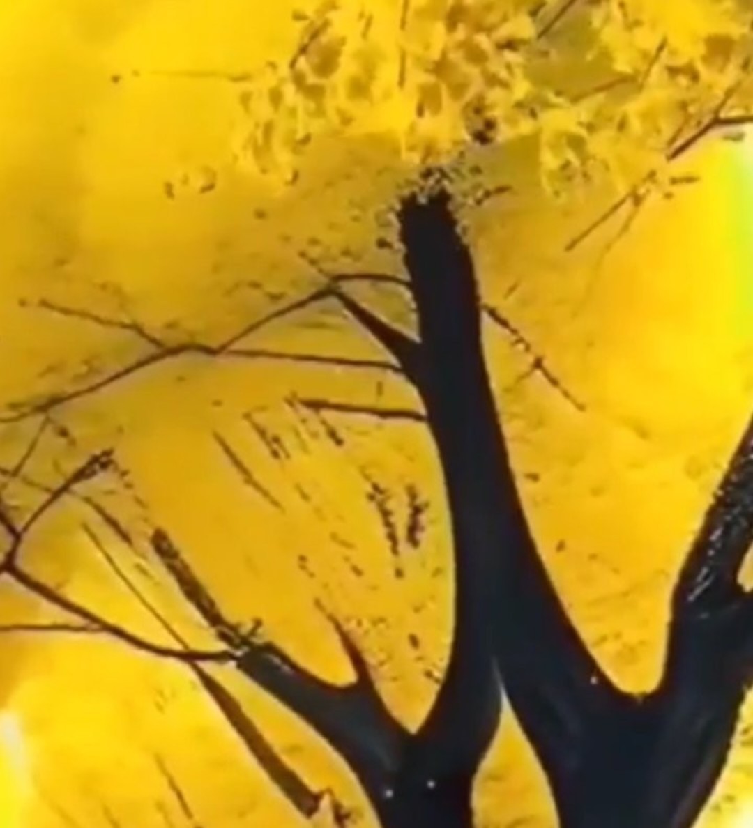 가을이라서 인연을