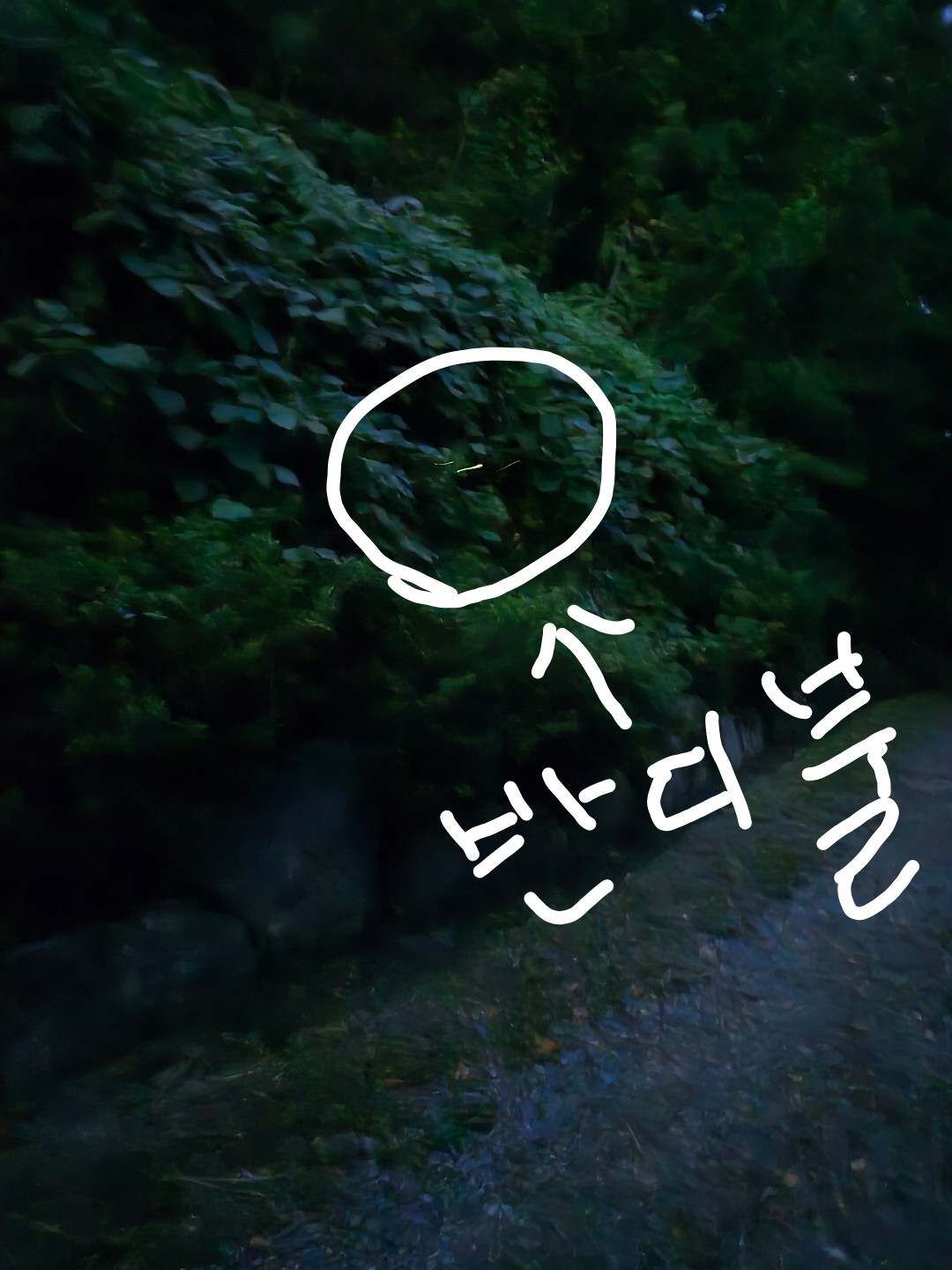 Post image 4