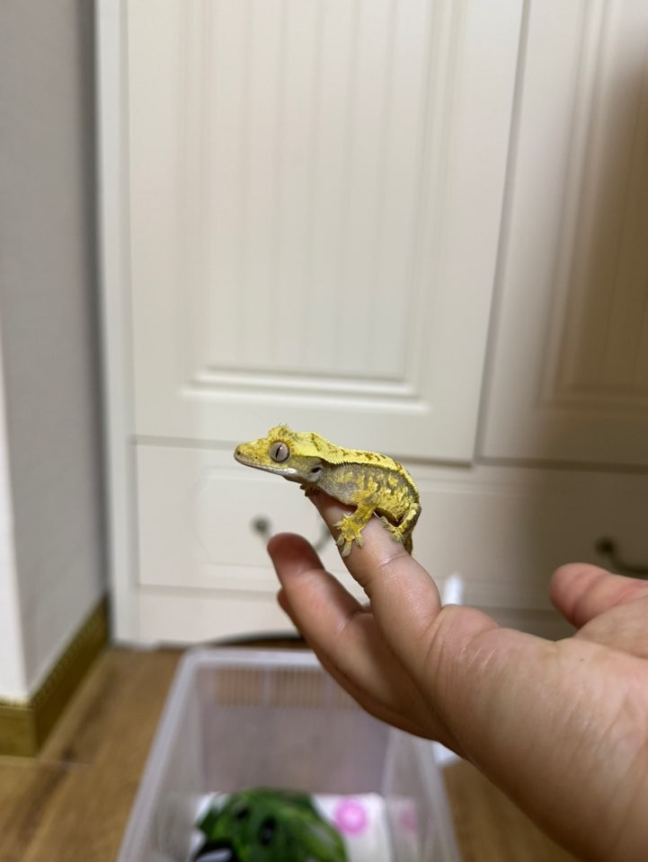 Post image 7