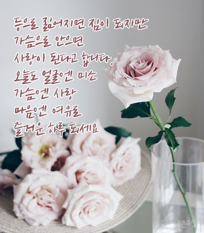 5060 싱글, 동행하는 인생 앨범 사진