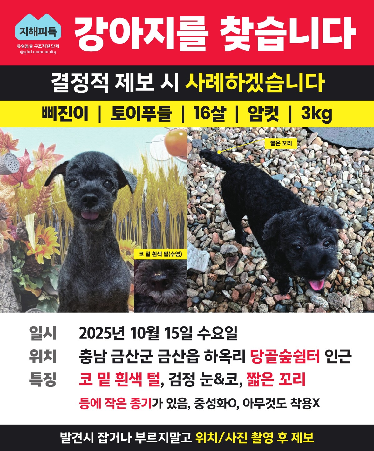Post image 18