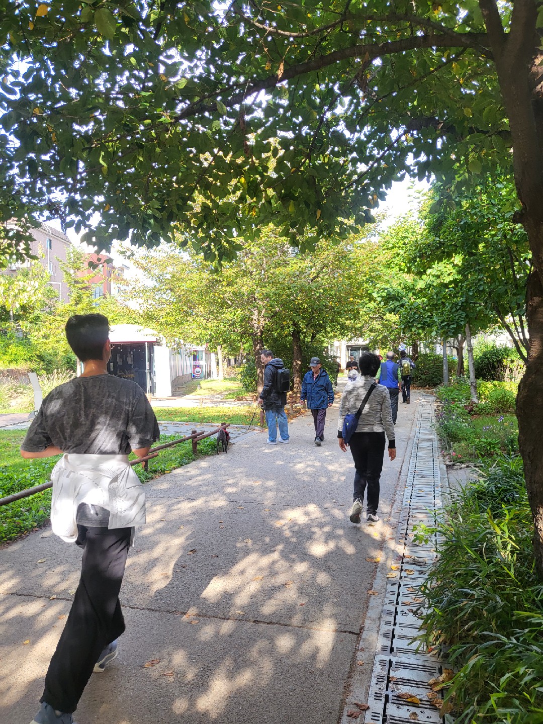 Post image 5