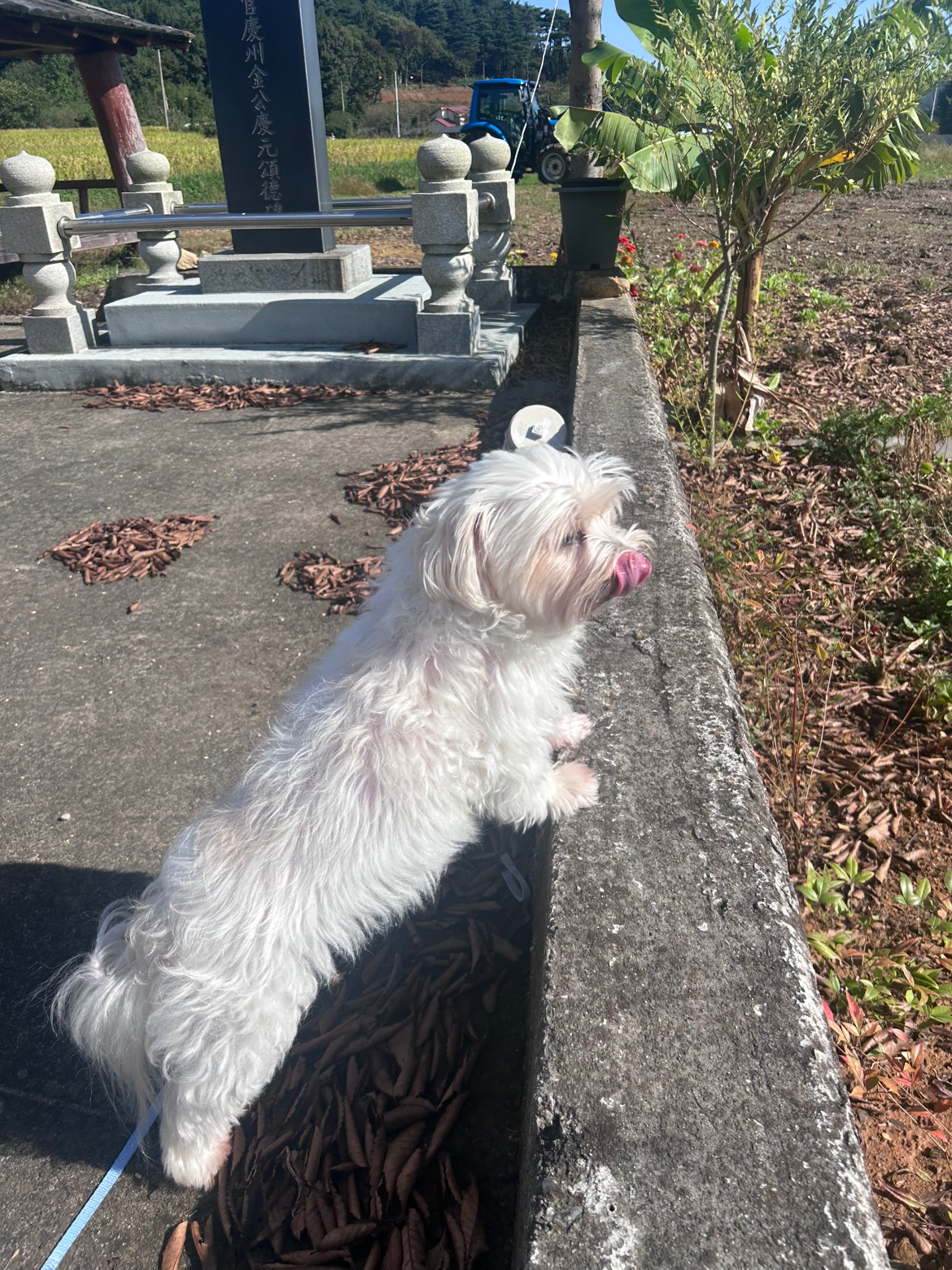 안녕하세오 10살 초롱이에여 울애기에여