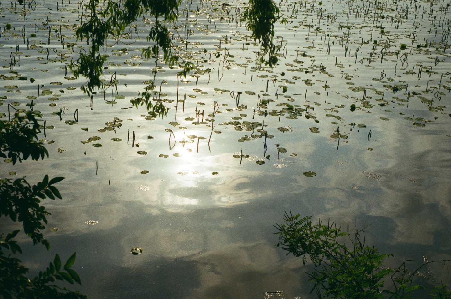Post image 3
