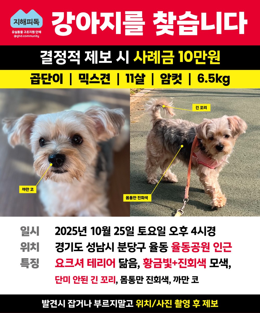 Post image 24