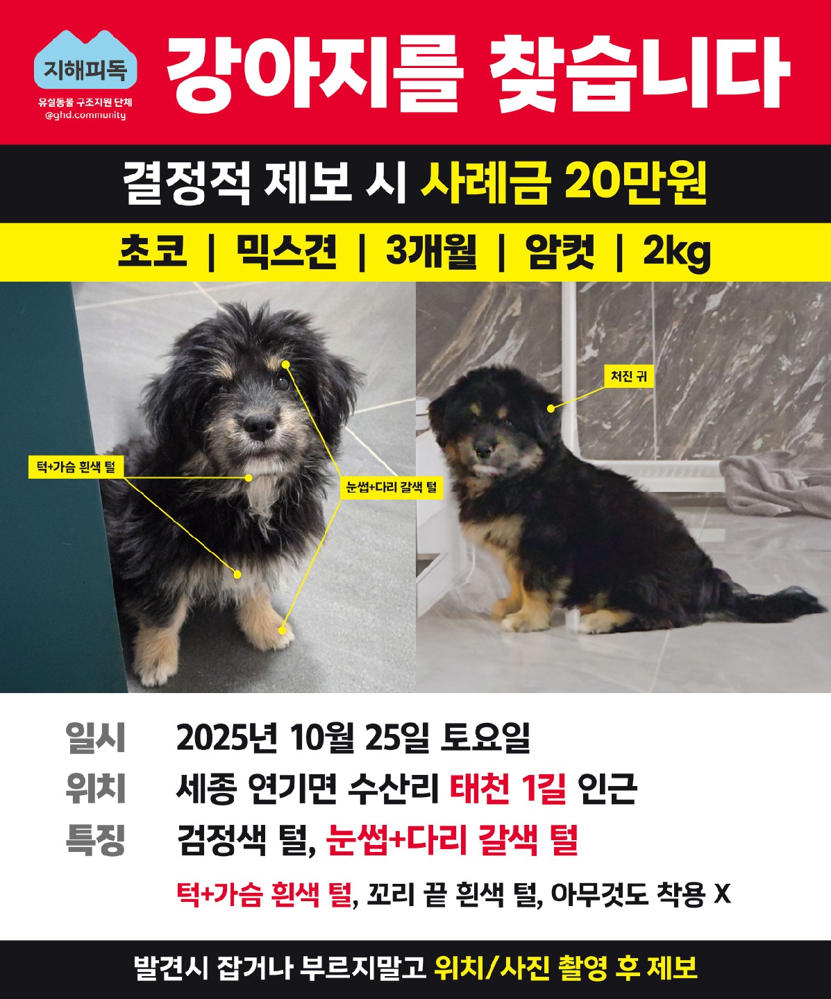 Post image 24