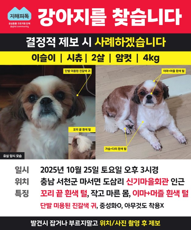 Post image 21