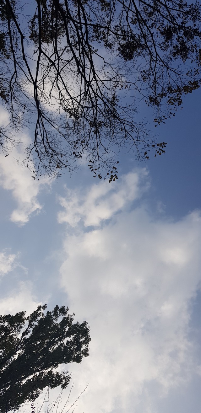 Post image 10