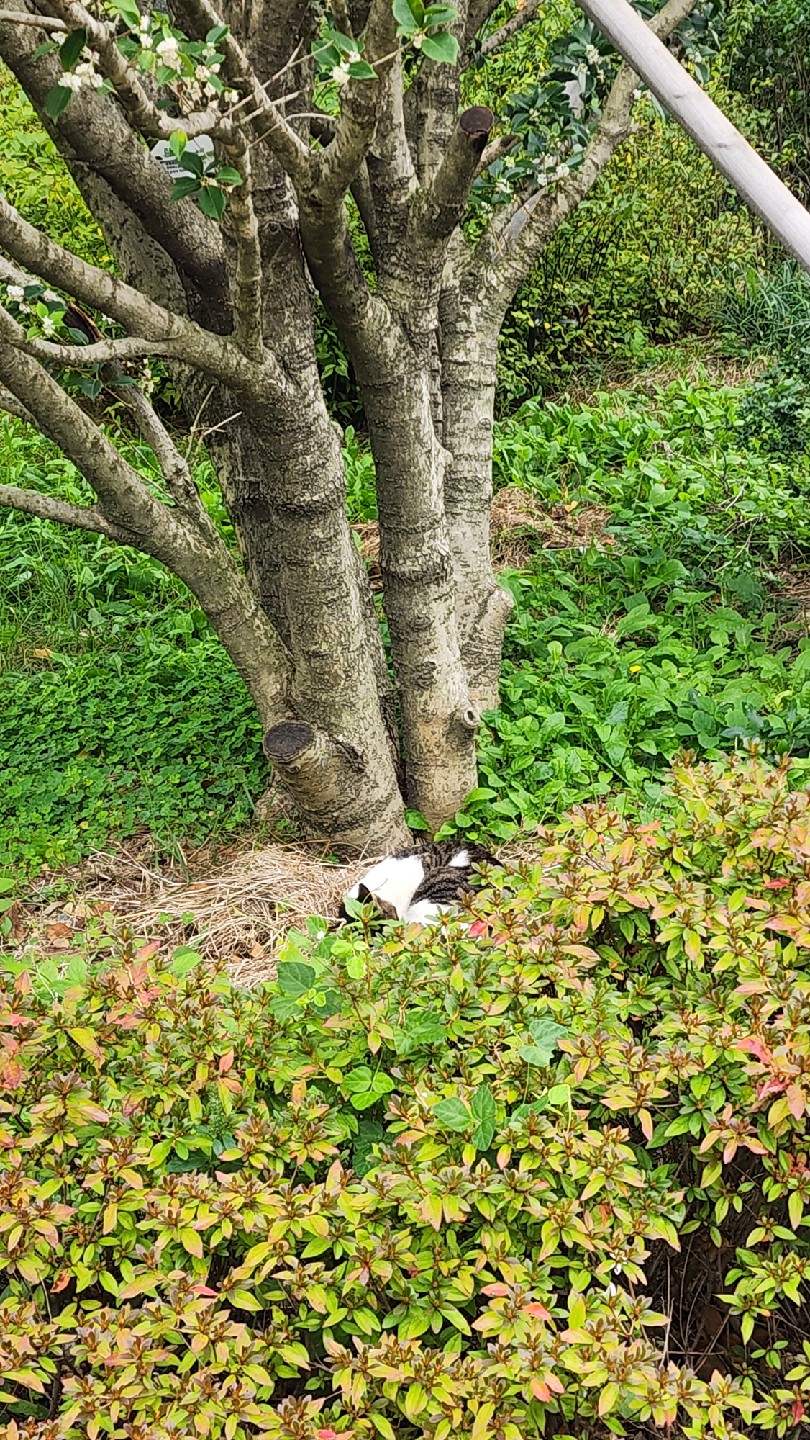 아파트내 산책중..