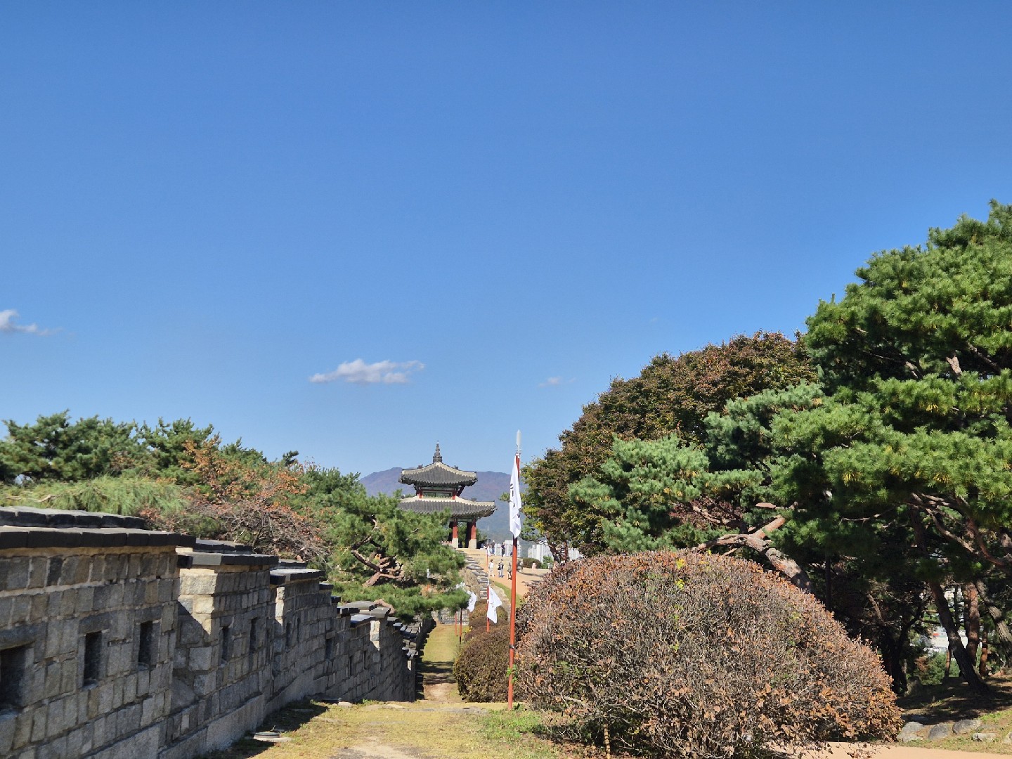 Post image 4