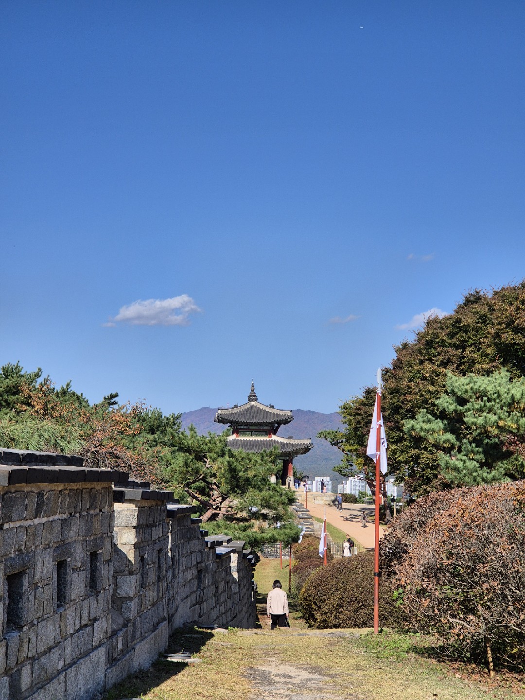Post image 6