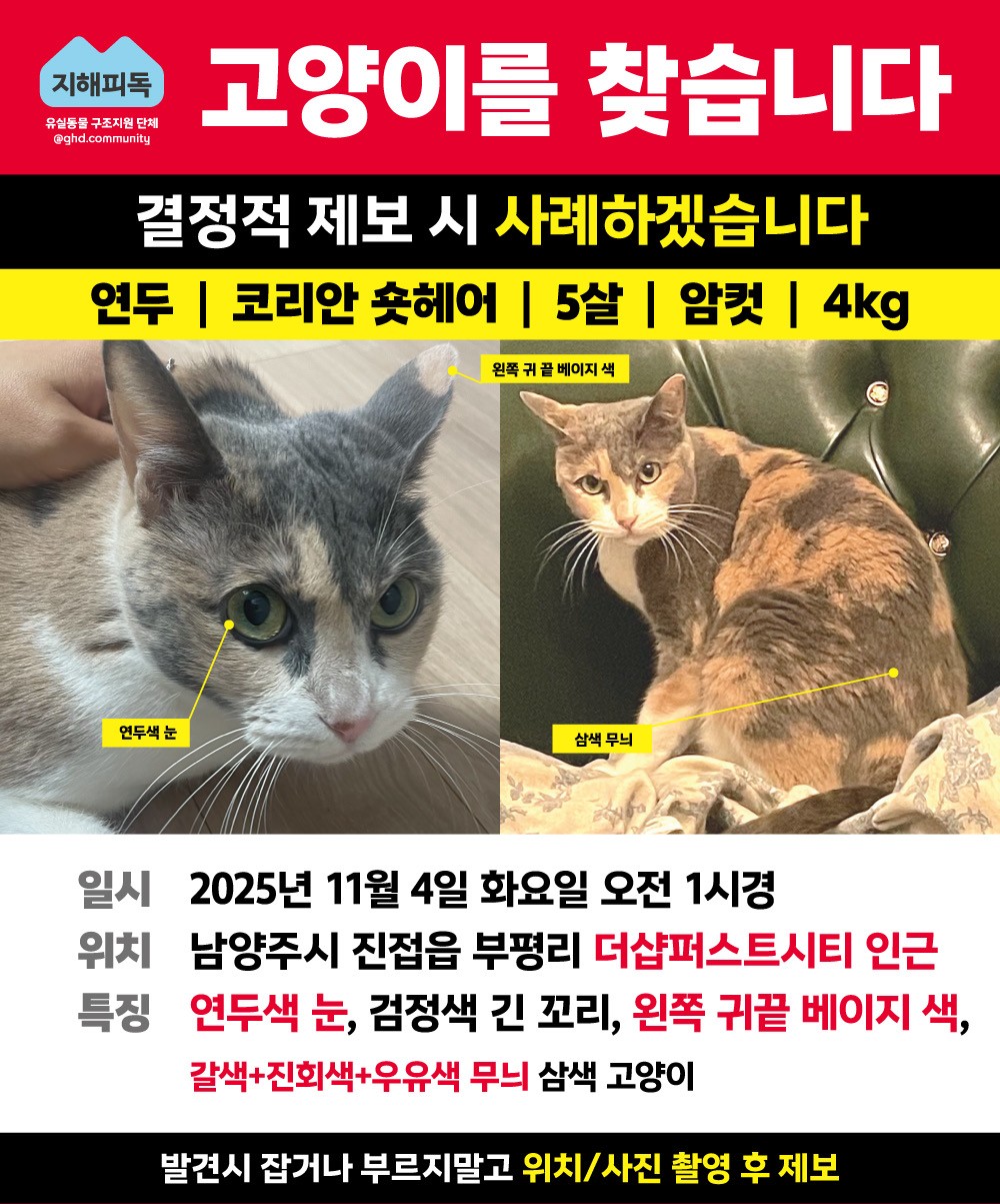 Post image 25