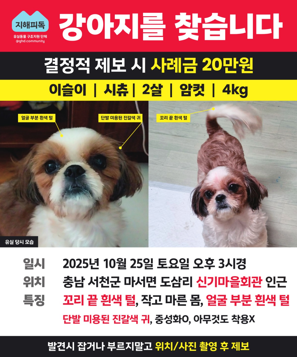 Post image 22
