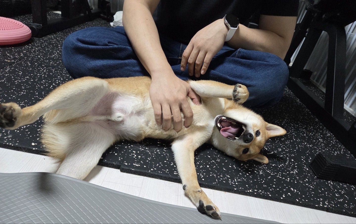 완전 개구쟁이에요