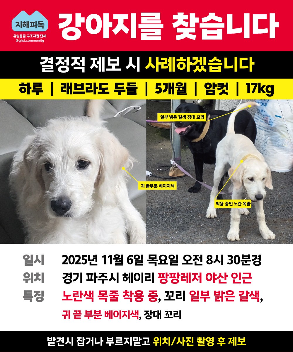 Post image 17