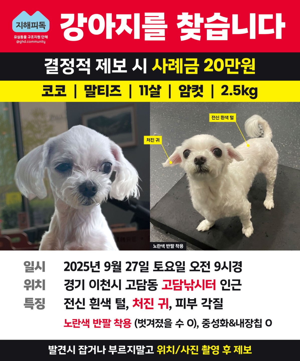 Post image 24