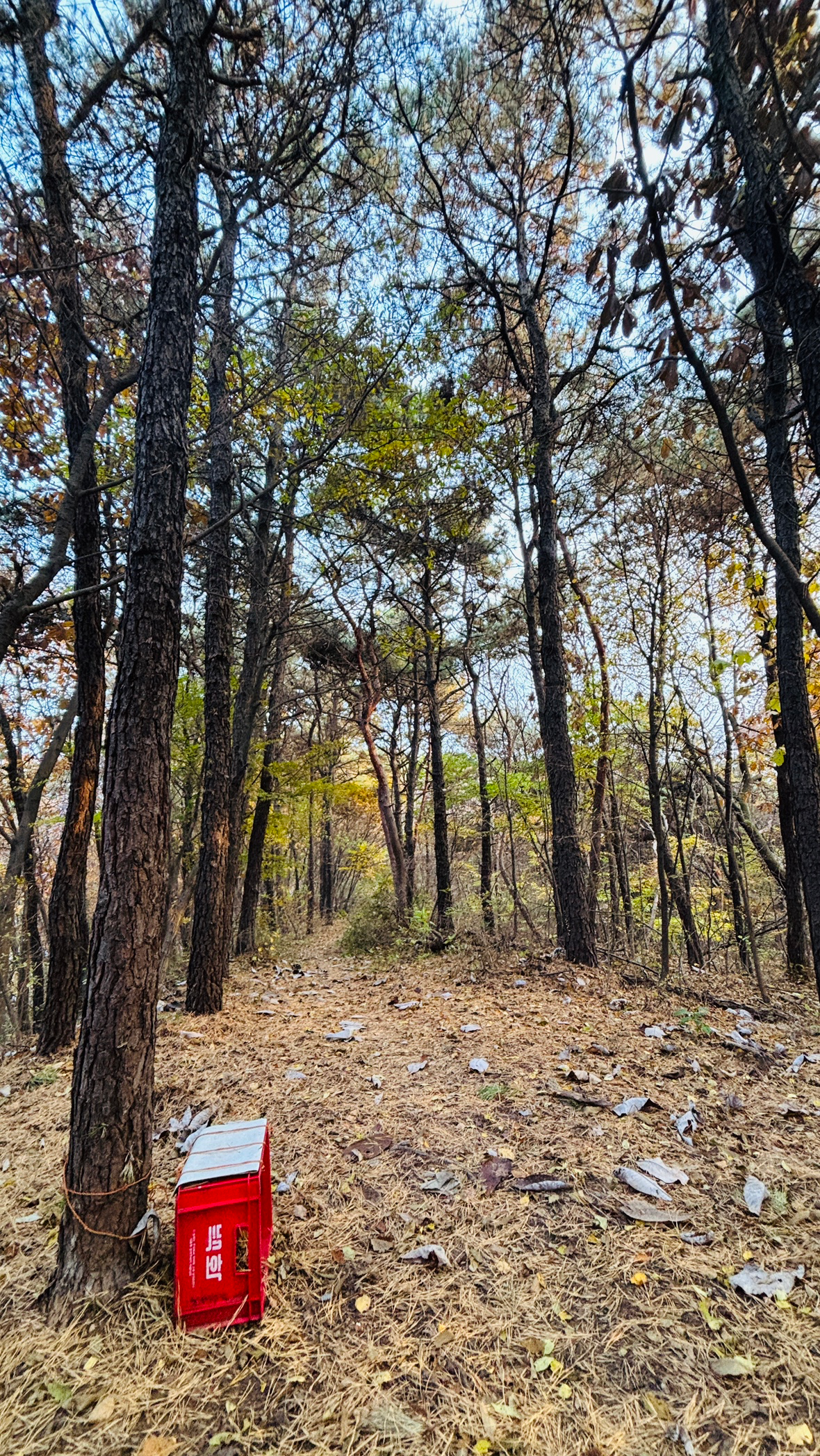 Post image 6