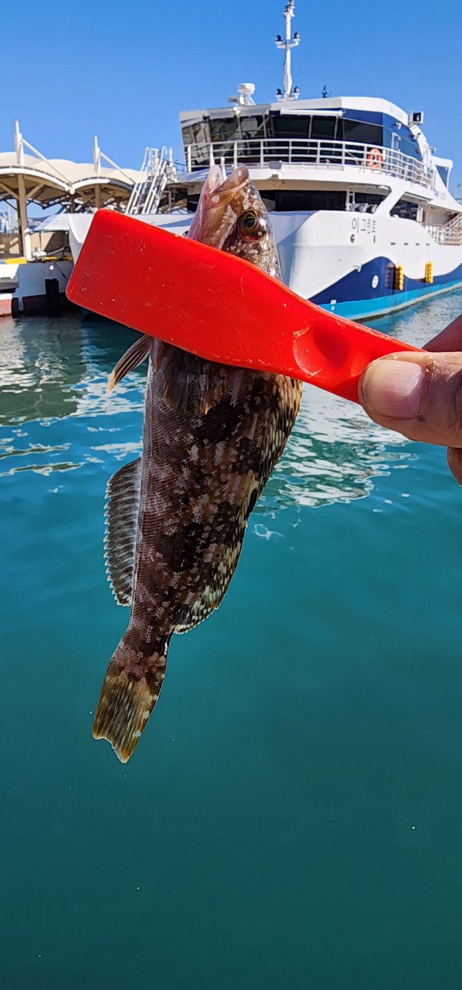 오늘은 모처럼 쉬는 날이라 즐겨하는 낚시와 술 한잔 하고 있네요.