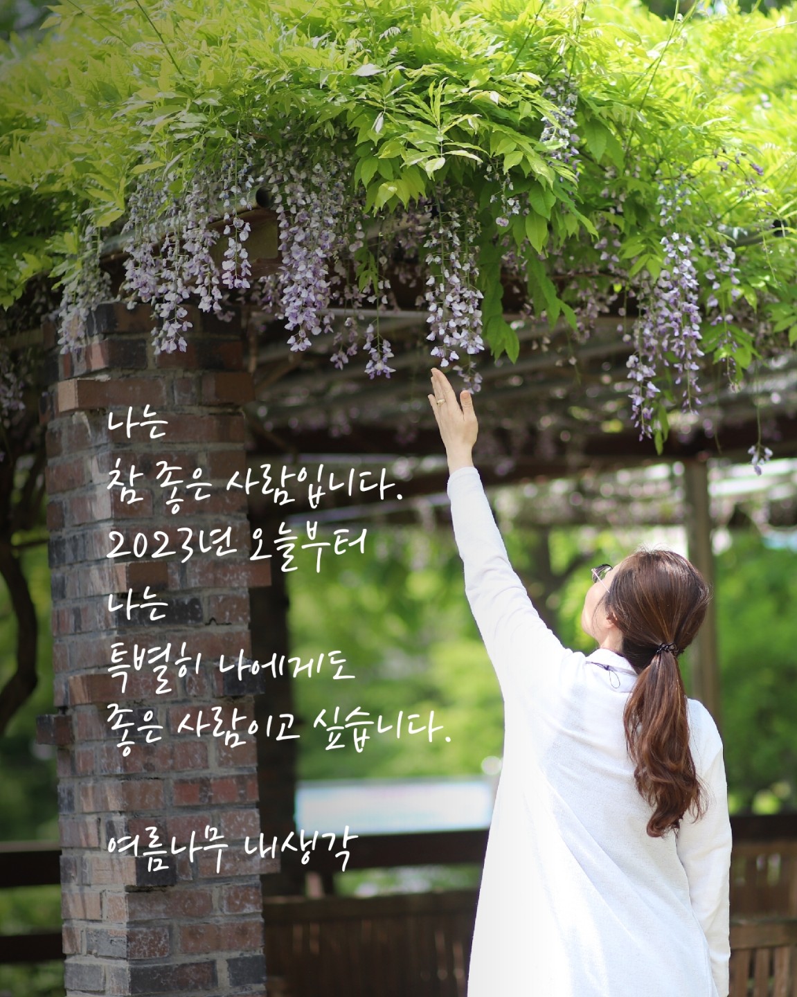 2025년 늦가을, 블로그를 다시 관리하고 싶습니다.