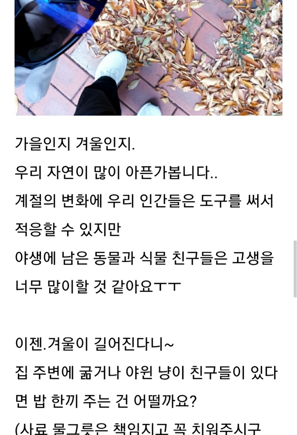Post image 8