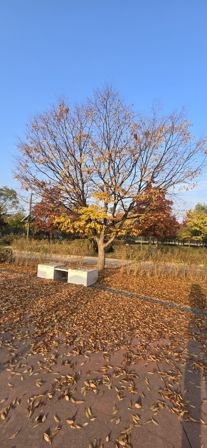 Post image 30