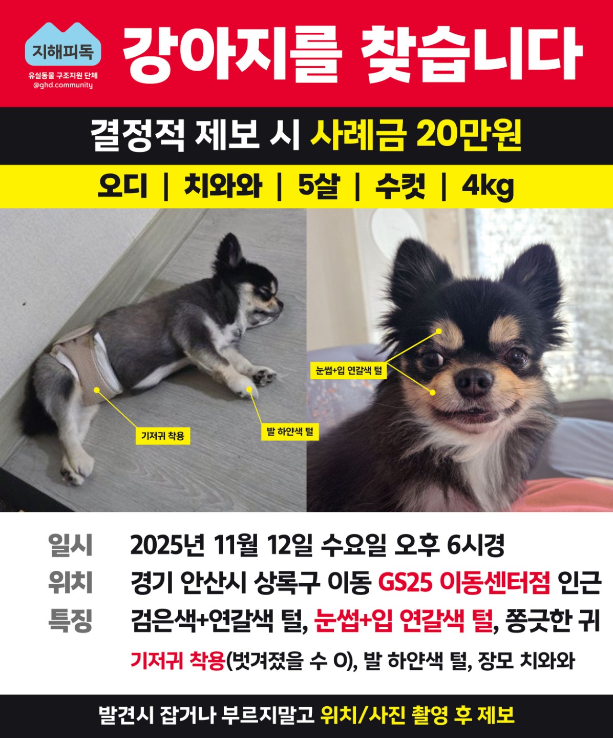 Post image 26