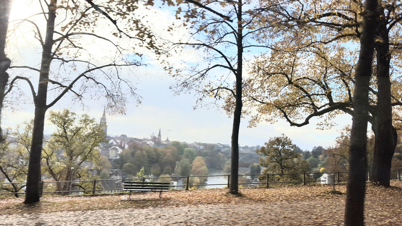 Post image 6