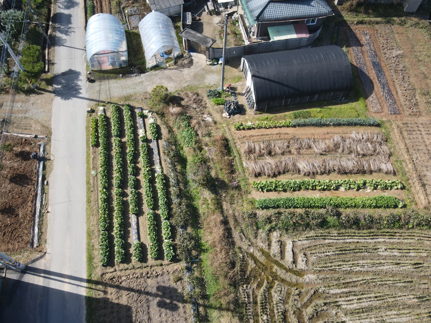 혹시 단독주택 살려고 알아보거나,
