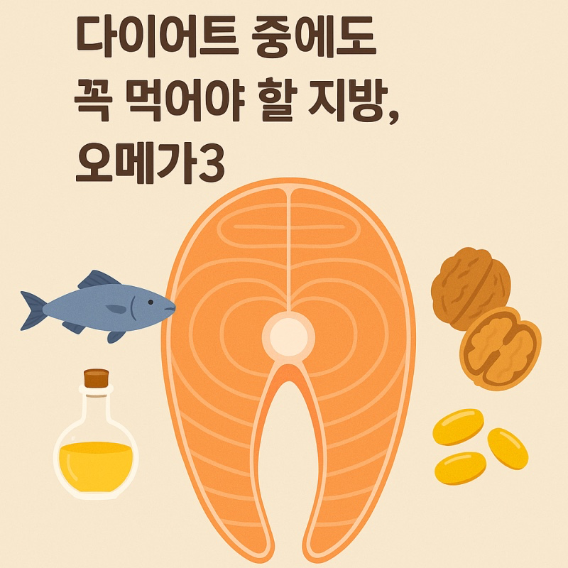 💪 다이어트 중 오메가3를 꼭 먹어야 하는 이유