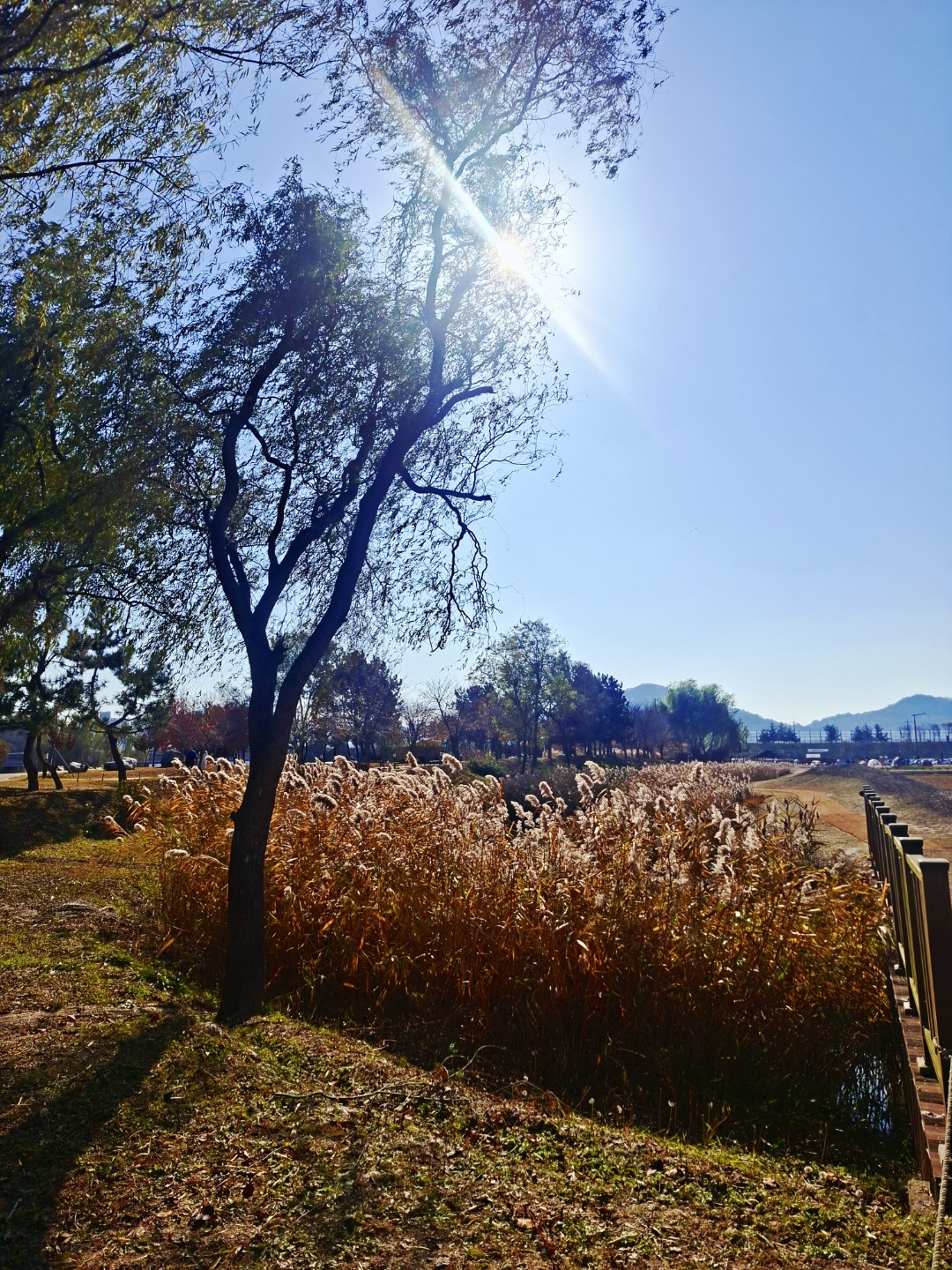 Post image 6