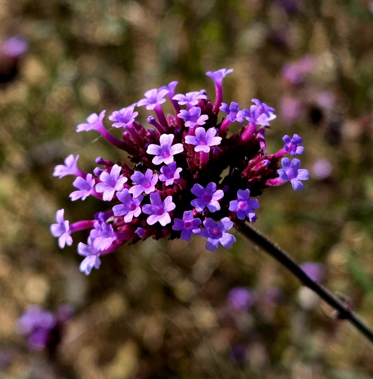 Post image 6