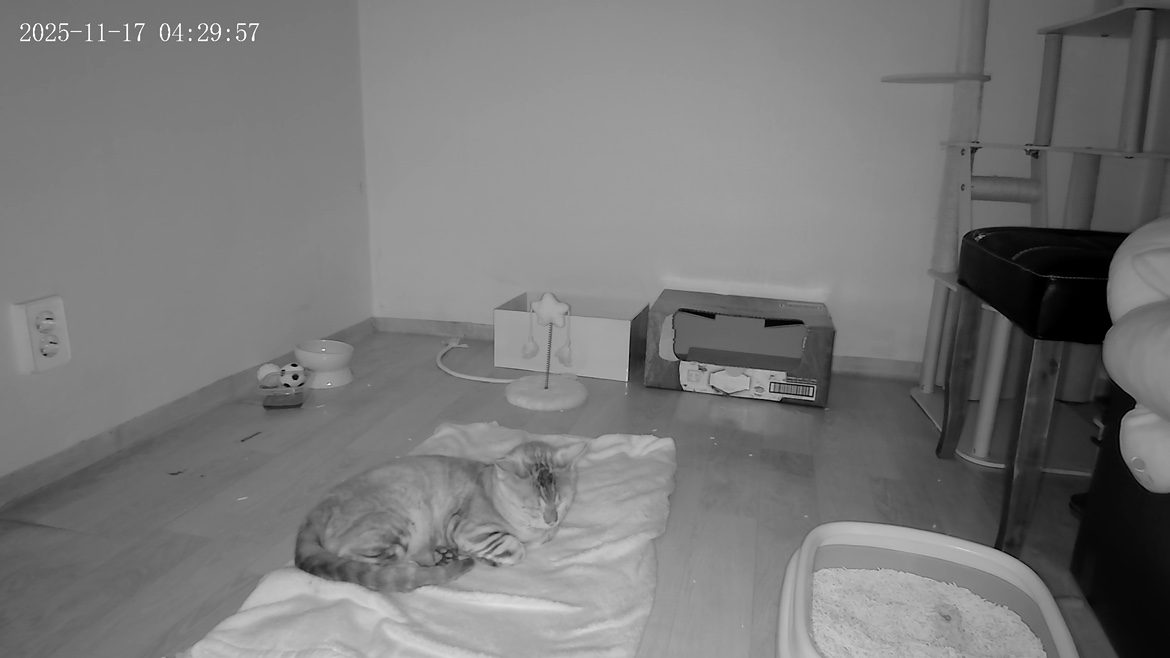 Post image 11