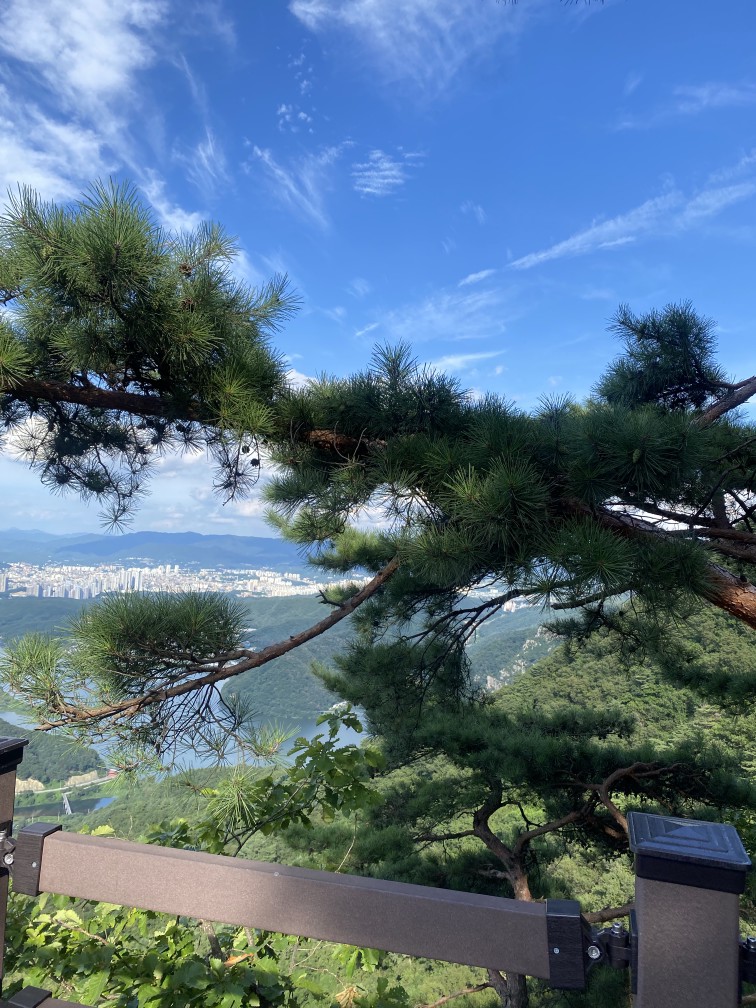 Post image 5