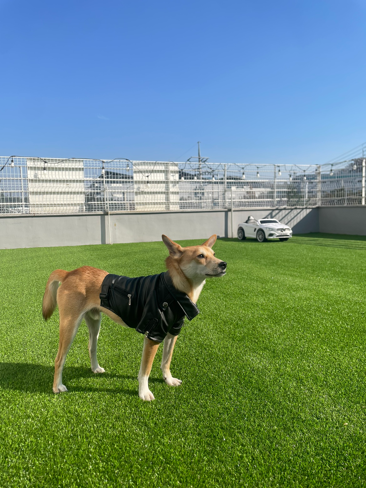 Post image 1