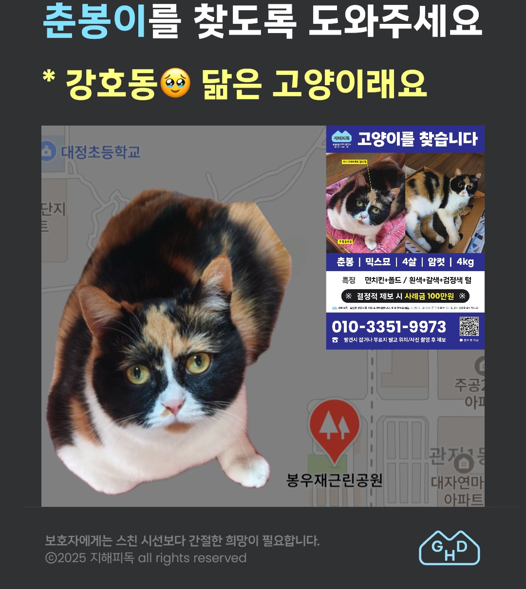 Post image 7