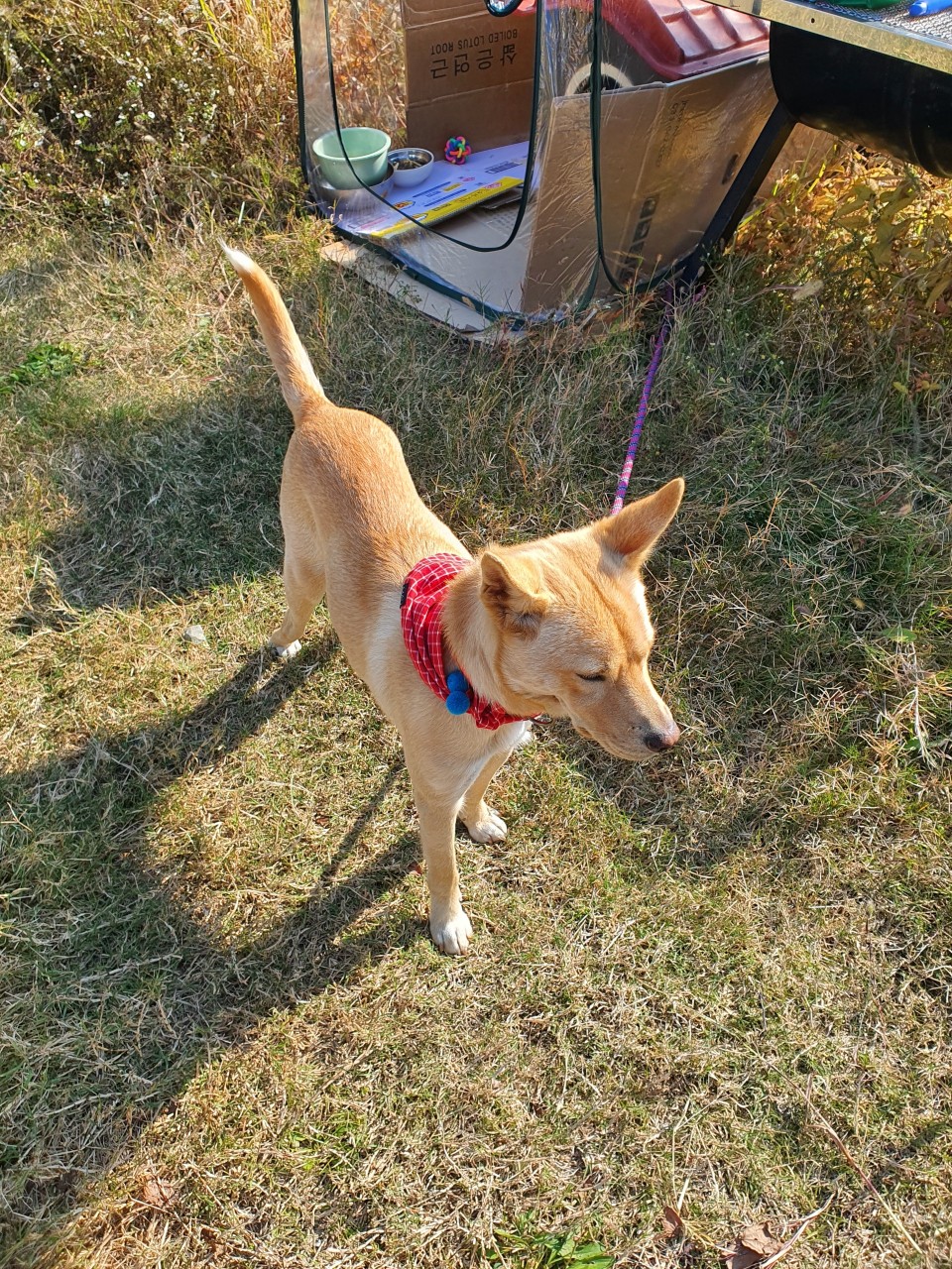 이제 석산♡이라는 새이름으로 오래오래 건강하고 행복해라🙏🍀🍀🍀