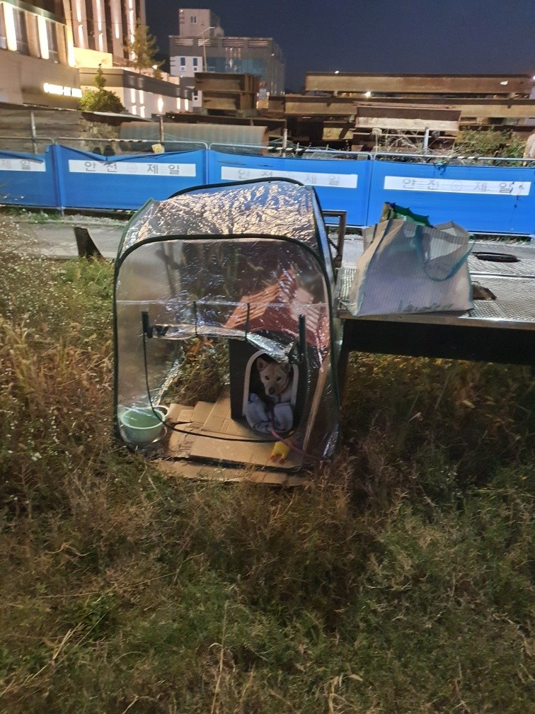 이제 석산♡이라는 새이름으로 오래오래 건강하고 행복해라🙏🍀🍀🍀