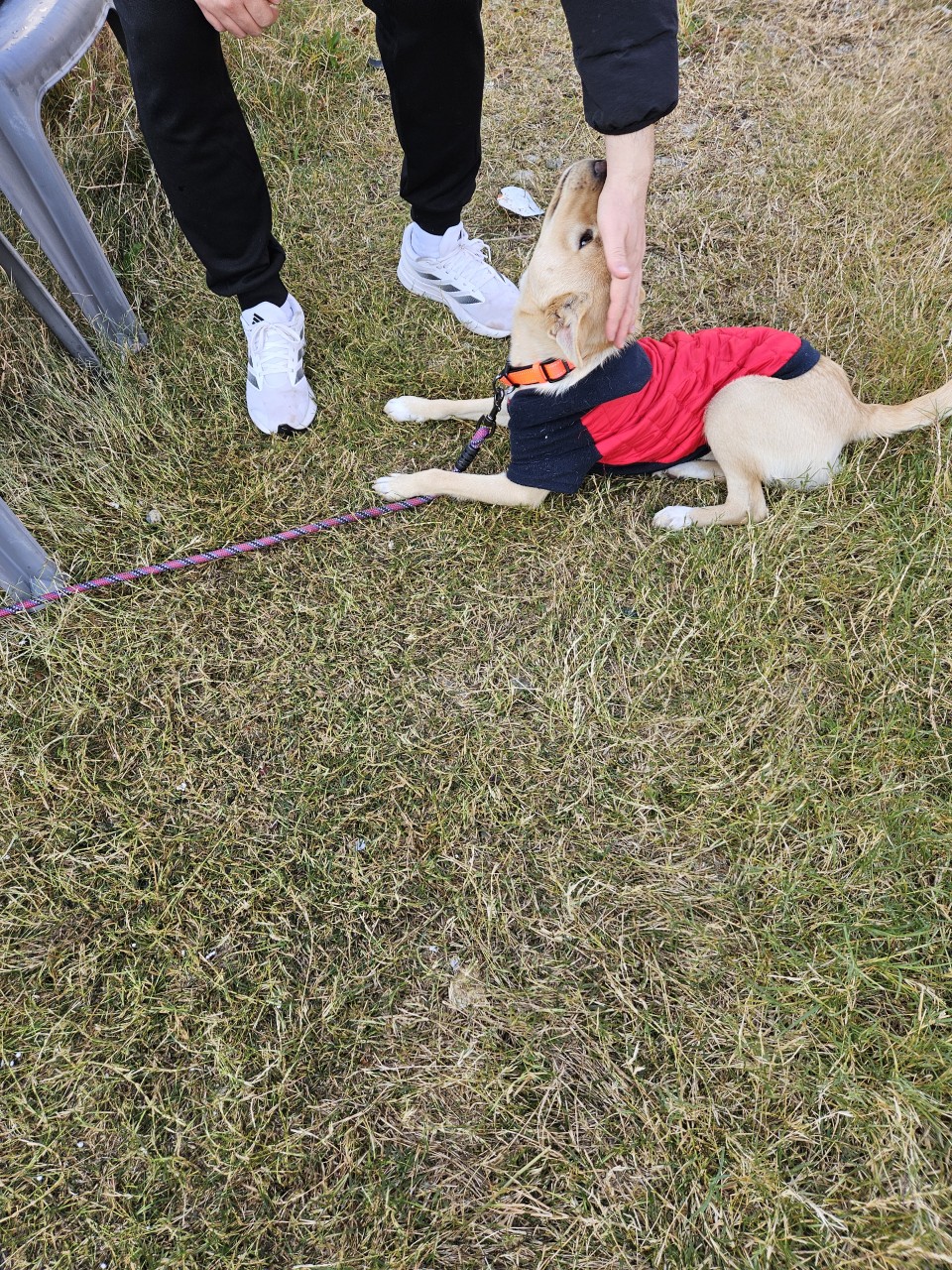 이제 석산♡이라는 새이름으로 오래오래 건강하고 행복해라🙏🍀🍀🍀