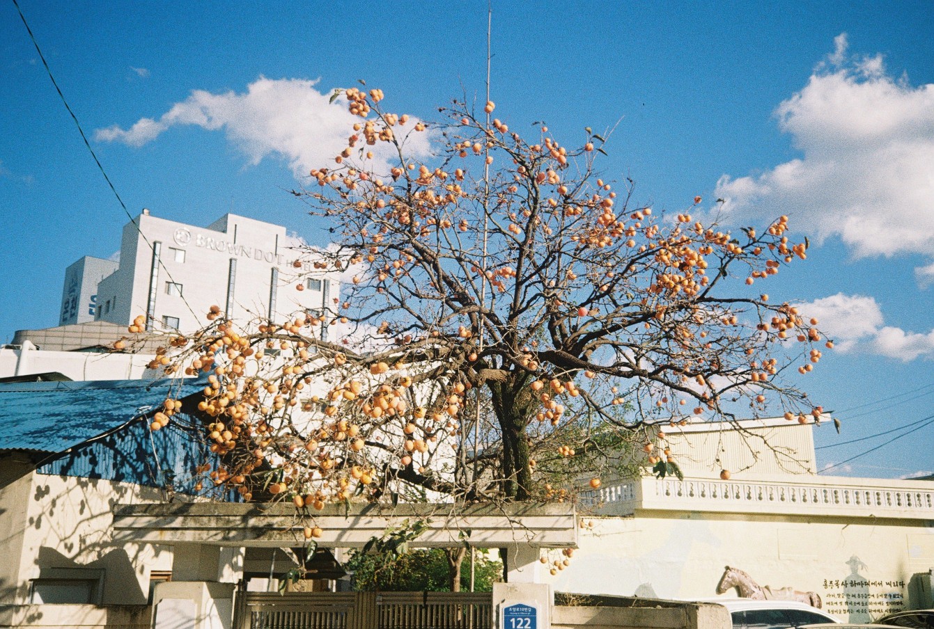 Post image 7