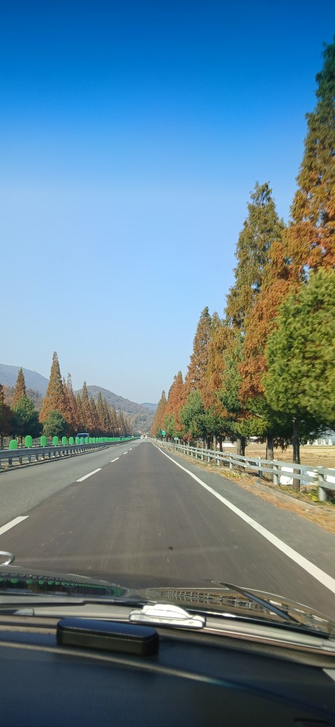 Post image 8