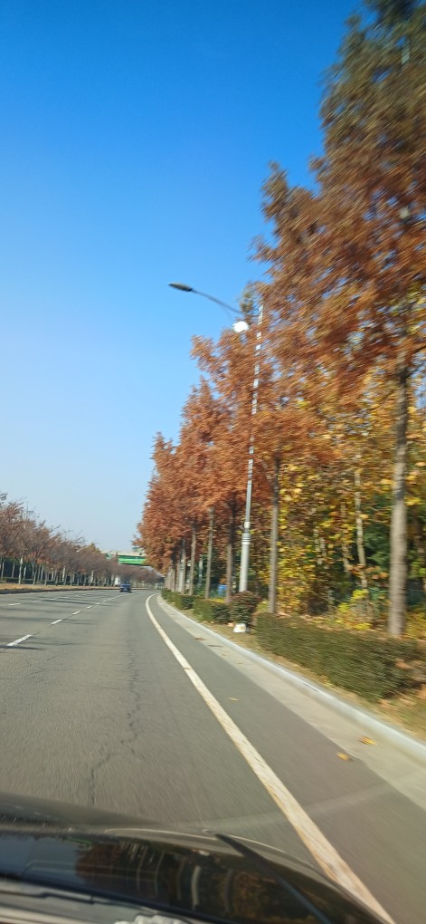 Post image 13