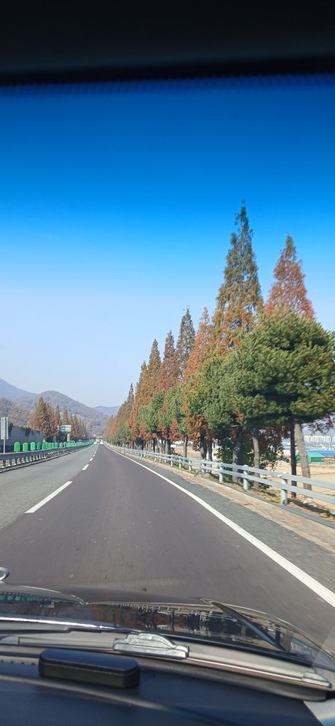 Post image 11