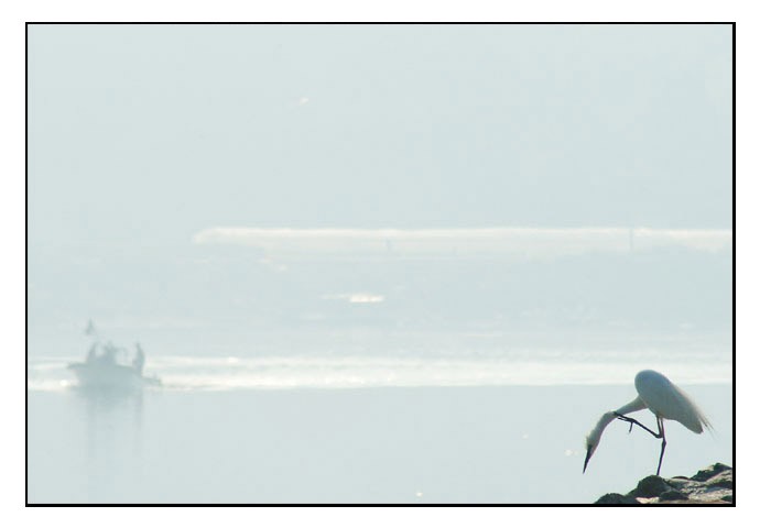 섬진강 입니다 새벽의 물안개 촬영 하려다 하나 건졌네요ㅋ