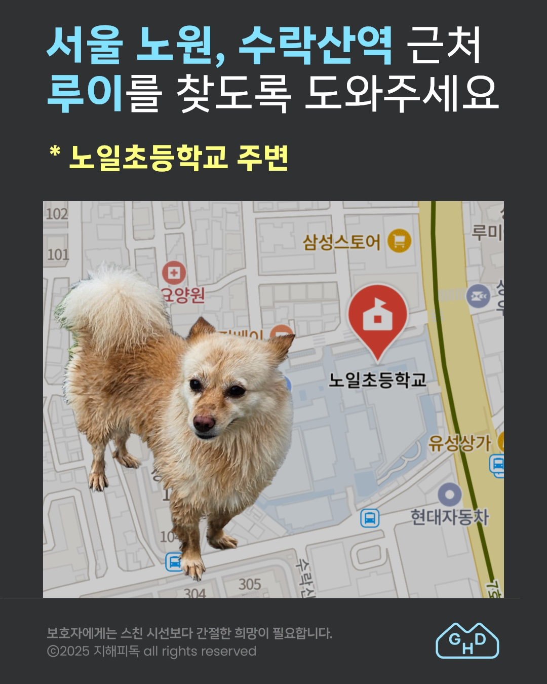 Post image 13