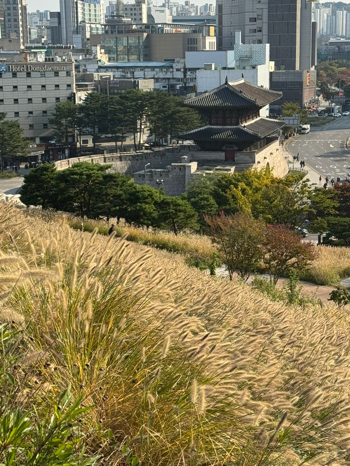 Post image 8
