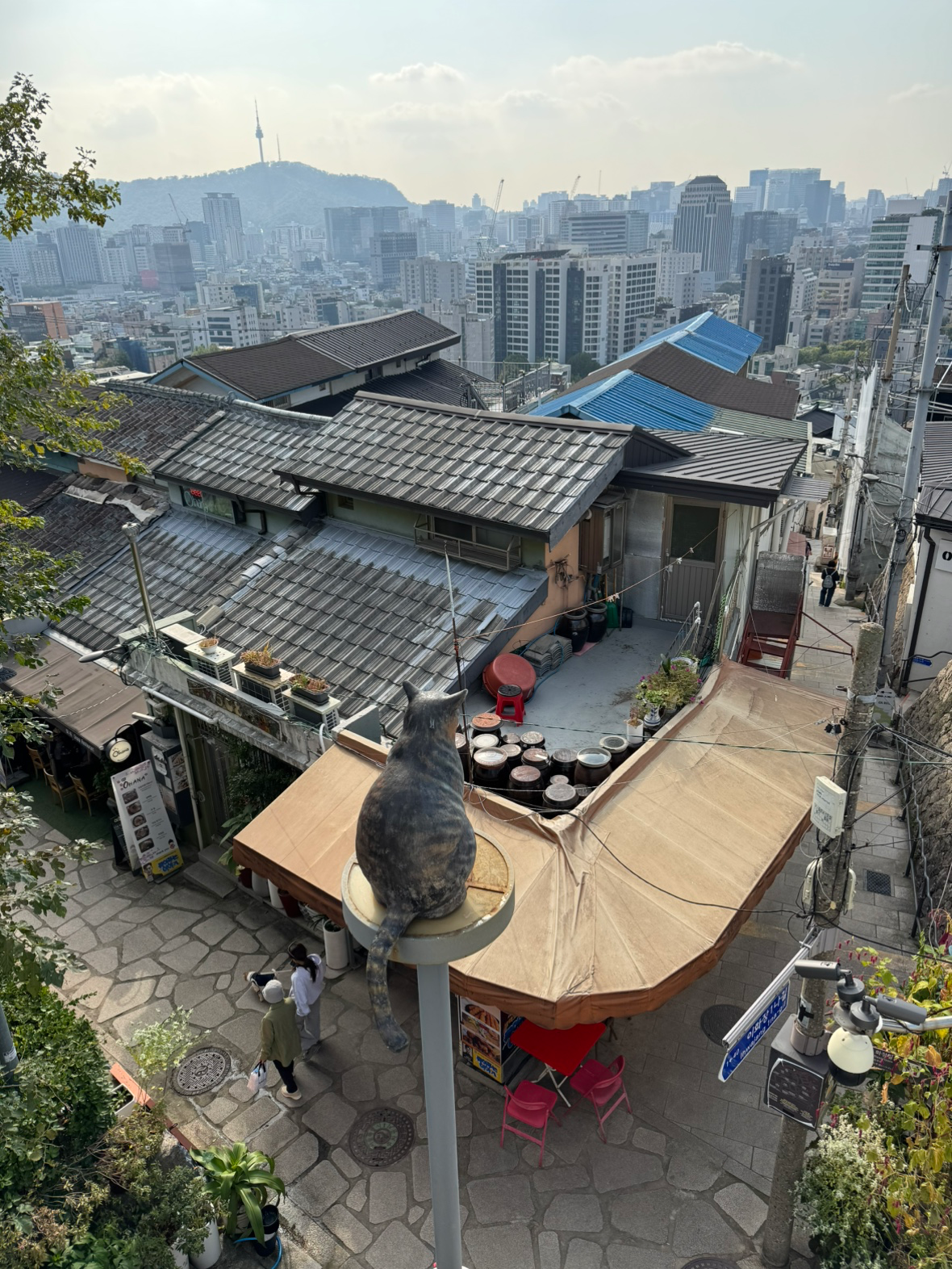 Post image 6