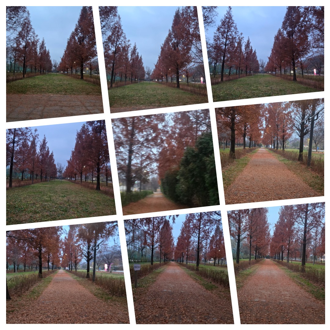 Post image 41