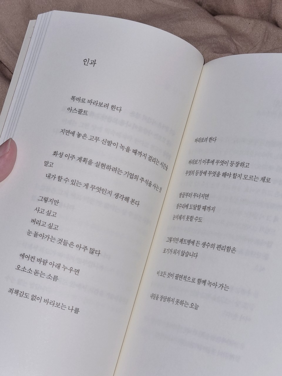 장가영 시인의 인과